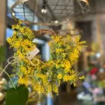 お花の就労継続支援B型事業所/HFP板宿/神戸市須磨区／障害福祉サービス／花束・アレンジ